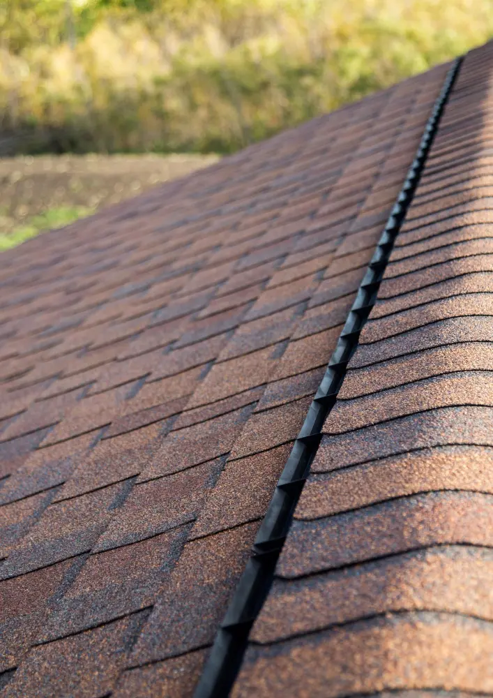 roof shingles in OH